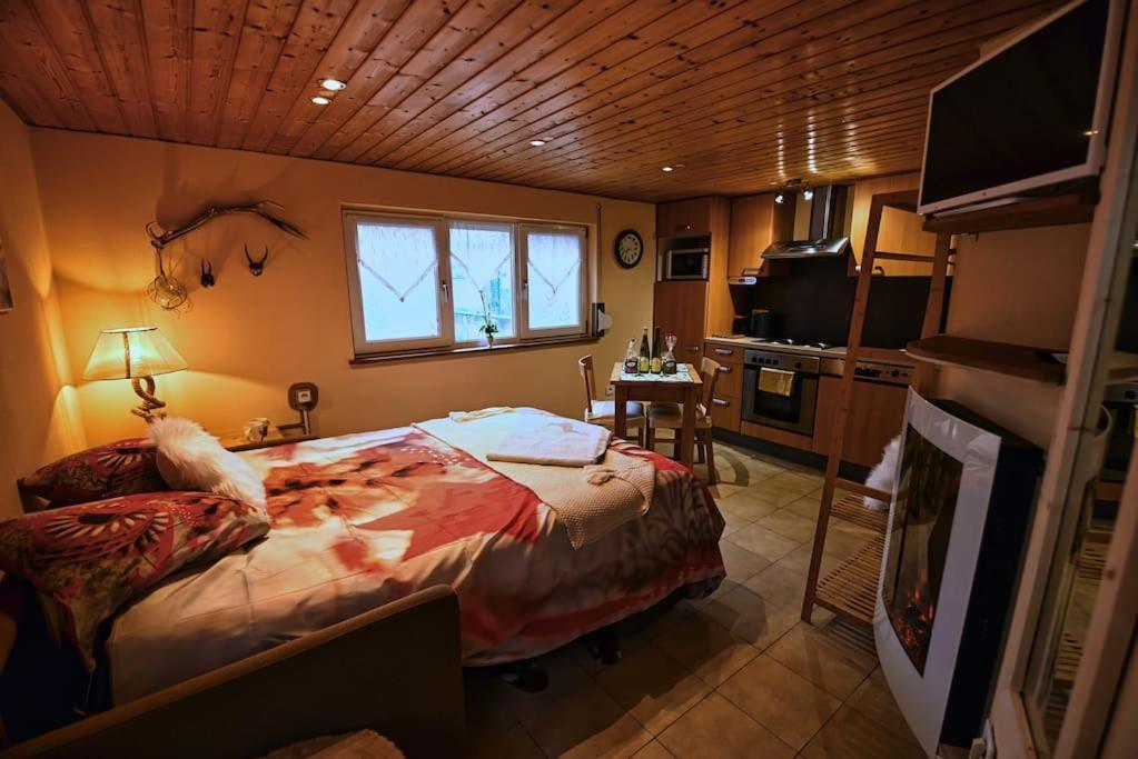 Les Chouchous Du Ried 3 / Proche Europapark Apartamento Saasenheim Exterior foto