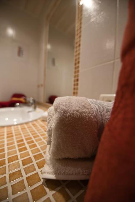 Les Chouchous Du Ried 3 / Proche Europapark Apartamento Saasenheim Exterior foto